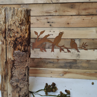 vogels op tak boomsteker